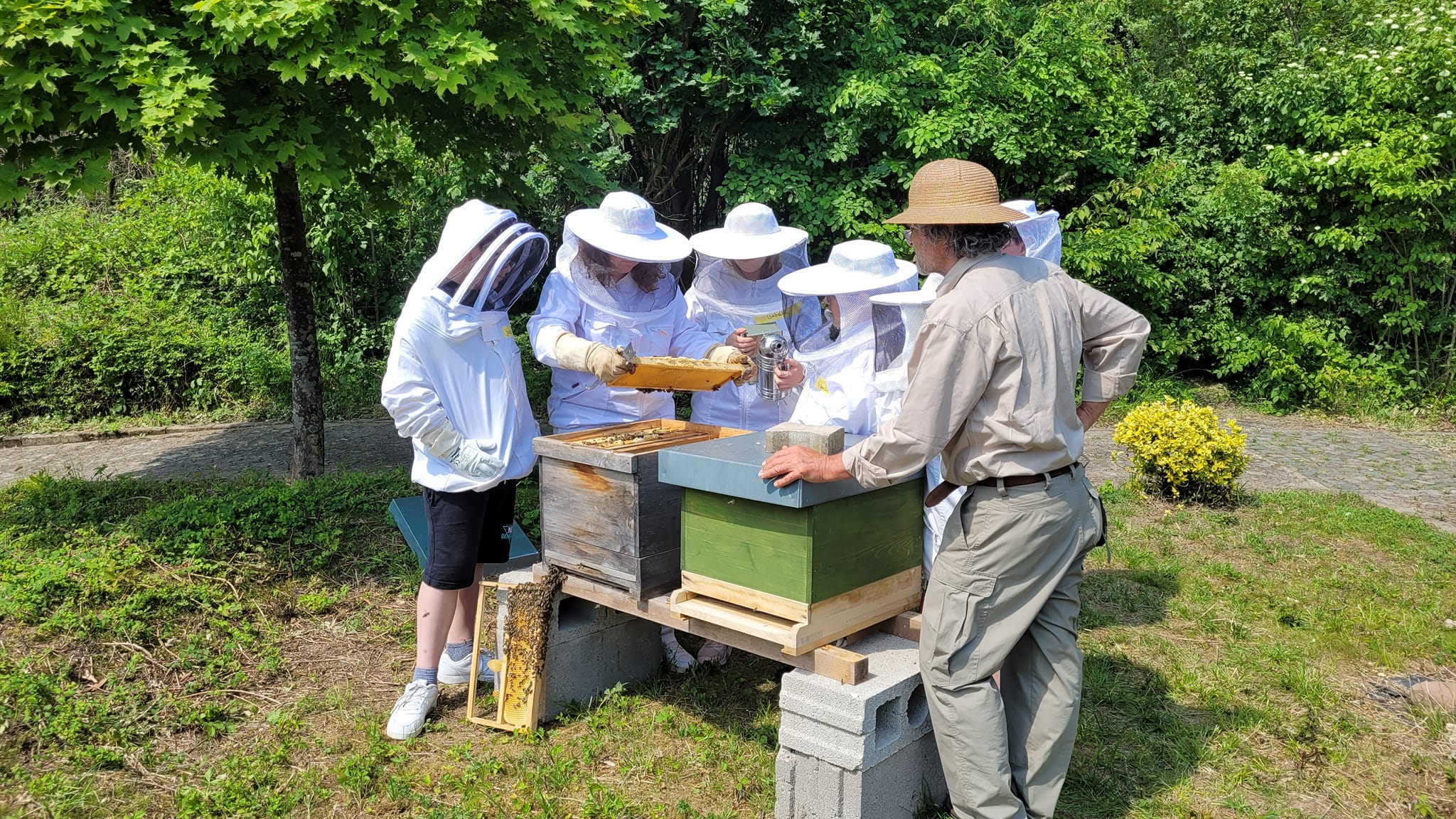 Sch%C3%BClergruppe%20bei%20den%20schuleigenen%20Bienenv%C3%B6lkern